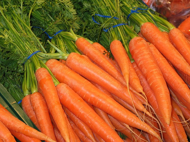 manojo zanahorias